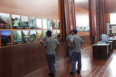 赛轮金宇集团股份有限公司青岛招聘信息-大众